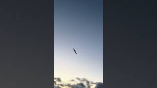 Slope Soaring a 1200mm Flying Wing Plank Glider rcglider flyingwing aviation crash flying [upl. by Notnirb]