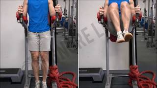 How To Captains Chair Leg Raise [upl. by Louls]