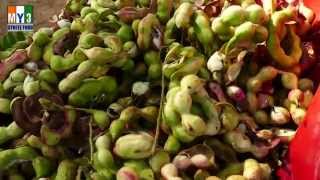 Pithecellobium Dulce Bean  Camachile  Seema Chintakaya  street food [upl. by Blatman82]