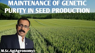 MAINTENANCE OF GENETIC PURITY IN SEED PRODUCTION [upl. by Dorette]