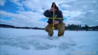 Ice Fishing New Hampshire Perch Pickerel Bass and a Hornpout [upl. by Nibbs]