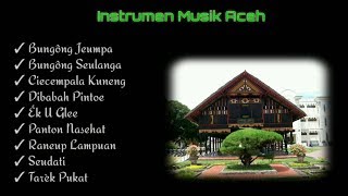 Instrumen Musik Aceh [upl. by Norramic]