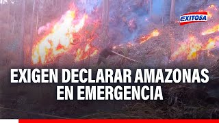 🔴🔵Exigen al Gobierno declarar estado de emergencia en Amazonas por incendios forestales [upl. by Theadora]