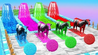 Animals Fountain Crossing Video For Kids  New Video  fountain animals [upl. by Elleinaj374]