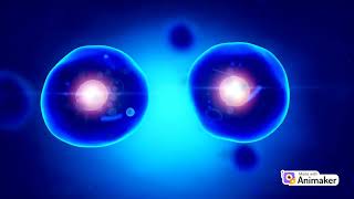 MITOSIS Cell division ANIMATED VIDEO WITH EXPLAINATION [upl. by Newo461]