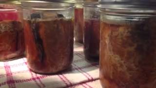 Making canned smoked salmon [upl. by Walke]