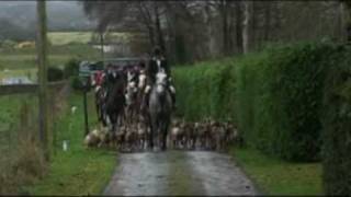 Bray Harriers  Hunting in Ireland [upl. by Enorel341]