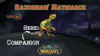 World of Warcraft  Razormaw Matriarch  Rare [upl. by Lampert618]