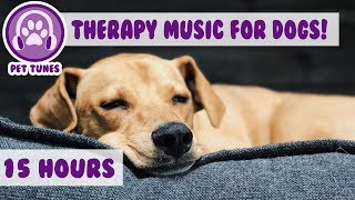 How to Relax my Dog in my House New Calming Music Has Helped Over 4 Million Pets  Pet Therapy [upl. by Eiser]