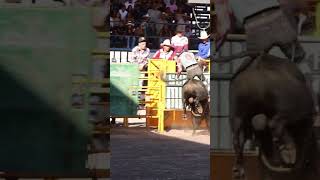 Impactantes montas y caídas en el jaripeo más extremo JaripeoExtremo FiestaCharra ReelDeJaripeo [upl. by Nedrud]