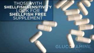 Bodybuildingcom Guide to Glucosamine [upl. by Aksel666]