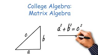 College Algebra Matrix Algebra [upl. by Isied]