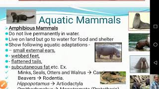 Aquatic adaptations in Mammals [upl. by Weber102]