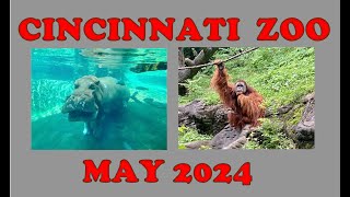 We visit the Cincinnati Zoo [upl. by Nedah]