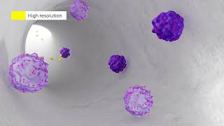 Monolithic Chromatography Explained in 3D [upl. by Divadnhoj759]