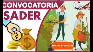 Convocatorias SADER 20222023  REGISTRO  BENEFICIOS REQUISITOS [upl. by Shaefer]