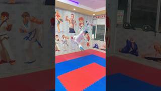 recreating Taekwondo knockouts taekwondo kick martialarts youtube viralshorts taekwondokicks [upl. by Henrion]