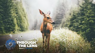 Through The Lens  S02E02  fursty [upl. by Noraed]