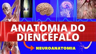 ANATOMIA DO DIENCÉFALO ANATOMIA HUMANA  NEUROANATOMIA DO DIENCÉFALO  SISTEMA NERVOSO [upl. by Eiramaliehs56]