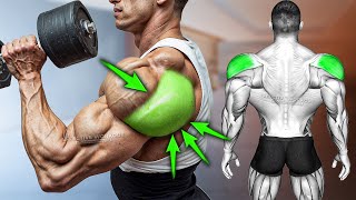 5 BEST Rear Delt Exercise BOULDER SHOULDERS [upl. by Nirhtak4]