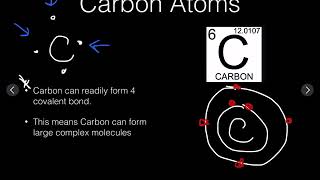 Carbon Condensation reaction and Hydrolysis reaction [upl. by Gilpin]