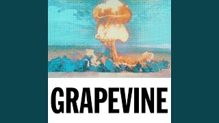 Grapevine Tujamo Remix [upl. by Regnij773]