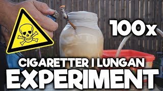 Vad gör 100x Cigaretter Mot Lungorna  EXPERIMENT [upl. by Ailati]