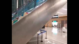 Chengdu Tianfu International arrival 2 minute guide [upl. by Wera931]