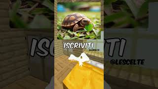 Una piccola tartarughetta 🐢👶perte ai minecraft animali [upl. by Enylorac]