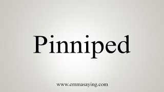 How To Say Pinniped [upl. by Noivert23]