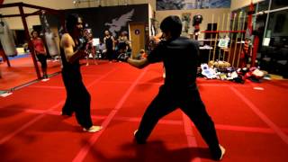 Kung Fu Sparring  Francis Vs Caleb [upl. by Tilla]