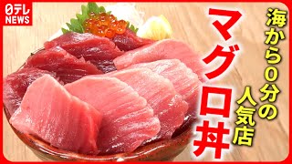 【鮮度抜群！】マグロ丼＆刺身定食＆アジフライ！海から０分の人気店『every特集』 [upl. by Yrakcaz576]