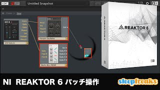 Native Instruments Reaktor 6の使い方①「BLOCKS」を使用したパッチ操作（Sleepfreaks DTMスクール） [upl. by Latton604]