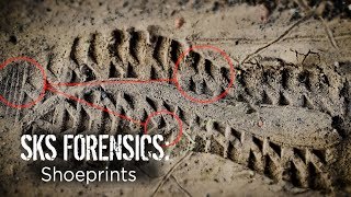 How true detectives uncover hidden shoe prints gain evidence  SKS Forensics Shoeprints [upl. by Ssew]