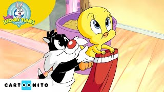 Larbre de Noël  Baby Looney Tunes  Cartoonito France [upl. by Wolsniw]