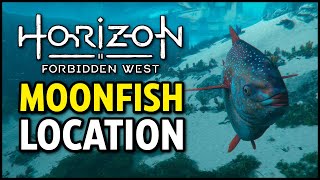 Where to Find Moonfish  Horizon Forbidden West Moonfish Location [upl. by Berny]