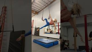 trapeze aerial aerials circus [upl. by Eelahs]