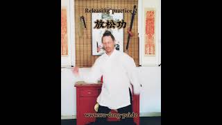 Wudang Basics Fang Song Gong 2 [upl. by Ynetruoc825]