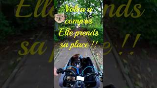 Traversé du parc en Bullitt avec 2 chiens  bouledogueamericain americanbully dogbike lifestyle [upl. by Euqcaj]