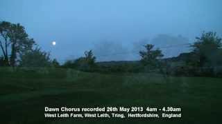 Birdsong Dawn Chorus England 26th May 2013 [upl. by Calesta789]