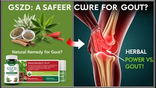 GSZD A Natural Remedy for Gout That Outperforms Western Medicine [upl. by Lennon]