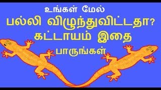 palli vilum palan in tamil for both male and female  palli vizhum sastram [upl. by Htide]