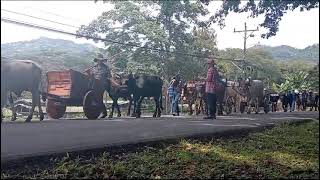 Inicio del Desfile Boyero [upl. by Ludba]