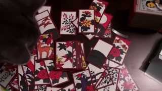 Nintendo Hanafuda Cards [upl. by Ellekcim978]