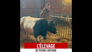 👨‍🌾 PierreAntoine éleveur par passion 🐮 [upl. by Eisor]