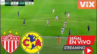 Necaxa Vs América Partido  Ver Necaxa Vs América En Vivo ✅ Partido Hoy Necaxa Vs América [upl. by Loretta539]