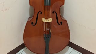 Strunal Doublebass [upl. by Mundy]