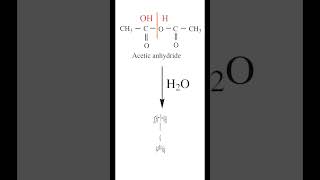 Hydrolysis of Acetic anhydride Reaction  Preparation of Acetic acid  Carboxylic acid  cbse [upl. by Adlei]