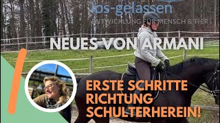 Schulterherein reiten  so vermeidest Du Probleme [upl. by Emmalyn]