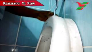 INSTALACION DE URINARIO MI PERÚ PARTE 3 [upl. by Lexa]